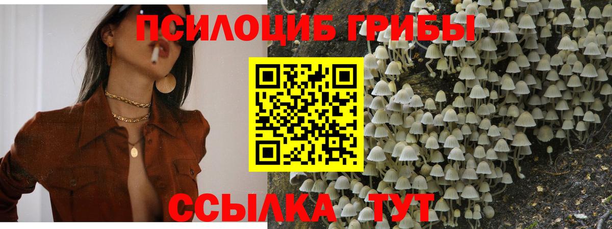 Лиски  Галлюциногенные грибы Psilocybe  Вход с VPN 
